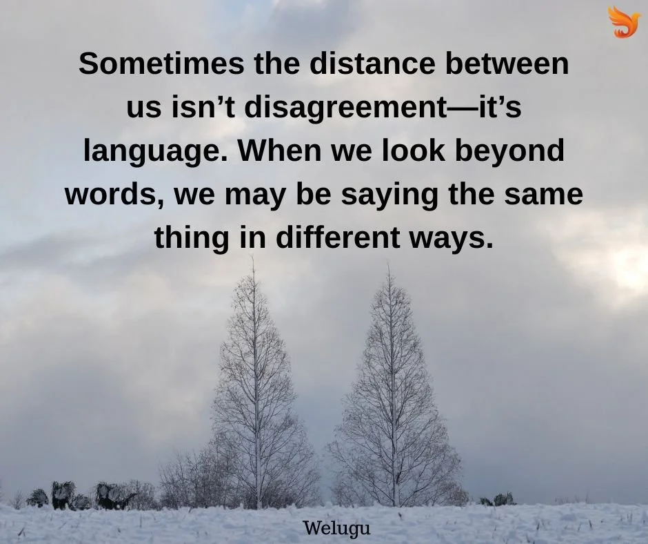 Different Words, Same Meaning?