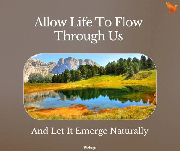 Allow Life to Flow Through Us