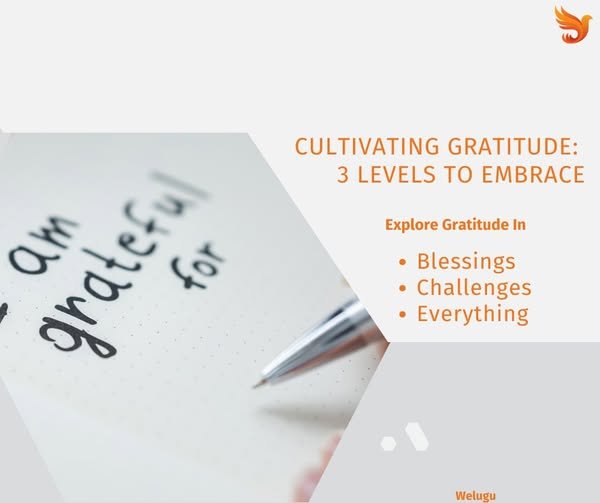 3 Levels to Gratitude