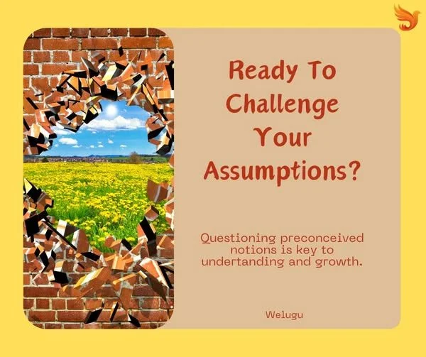 Challenge your Assumptions