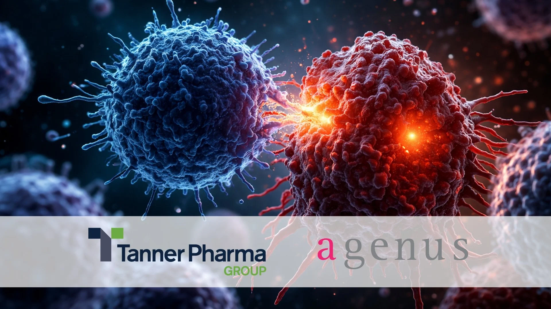 Tanner Pharma Expands Global Access to Botensilimab &amp; Balstilimab Through Partnership with Agenus