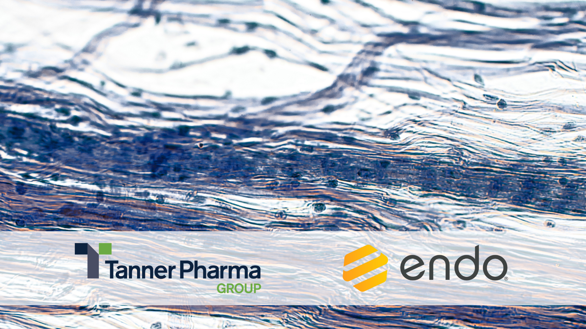 Tanner Pharma Group Initiates Named Patient Program for XIAFLEX®
