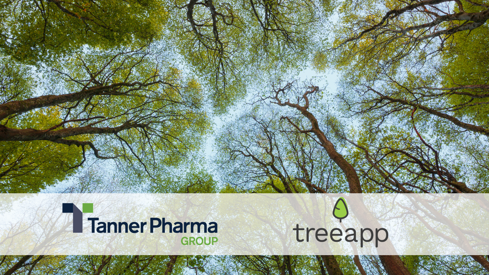 Tanner Pharma Plants 9,175 Trees in the UK in Partnership with Treeapp