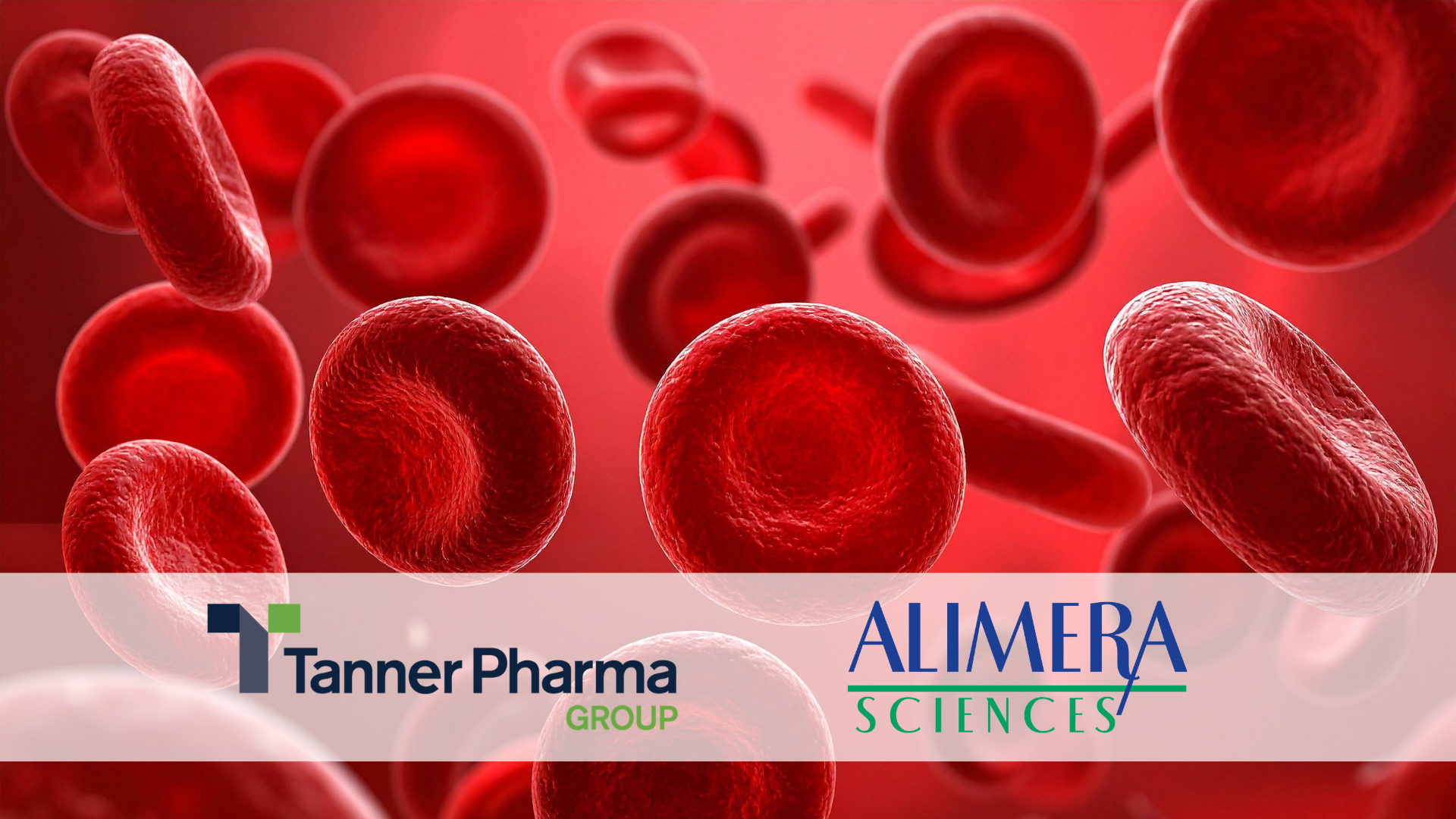 Alimera Sciences and Tanner Pharma Group Initiate Global Named Patient Program for ILUVIEN®
