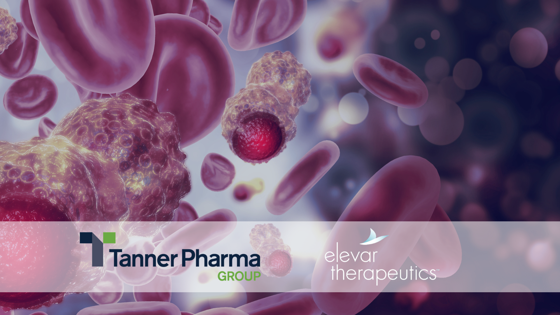Elevar Therapeutics and Tanner Pharma Group Announce Global Named Patient Program to Provide Access to Apealea® (micellular paclitaxel)