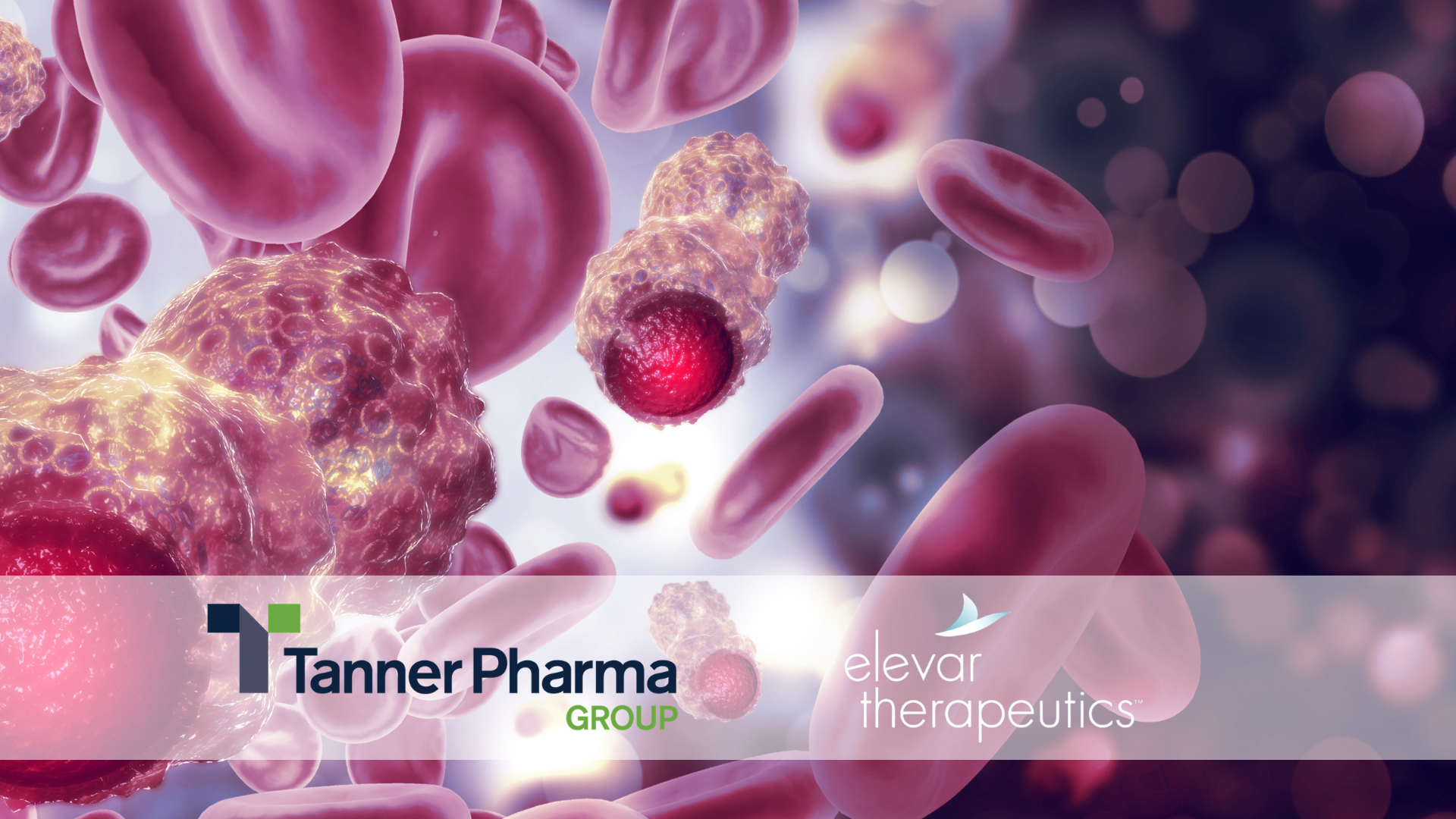 Elevar Therapeutics and Tanner Pharma Group Announce Global Named Patient Program to Provide Access to Apealea® (micellular paclitaxel)