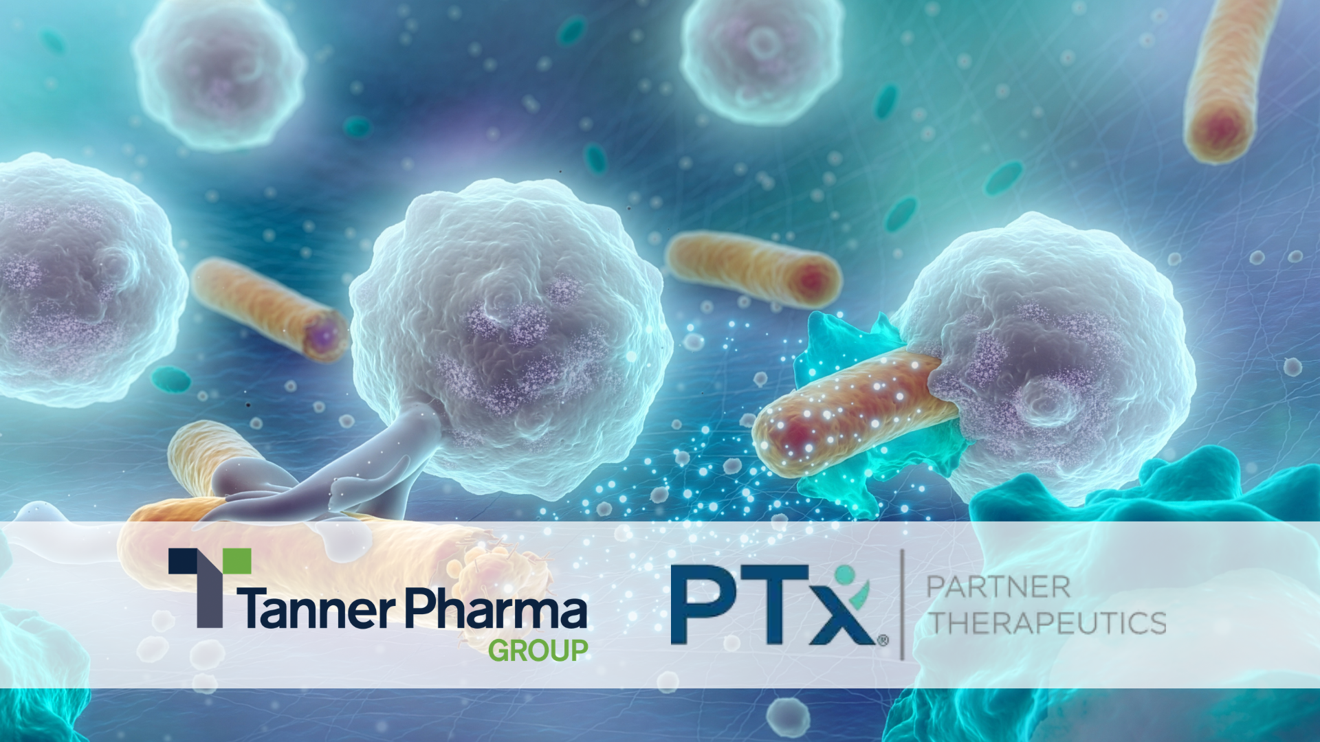 Tanner Pharma Group Signs a Distribution Agreement for Partner Therapeutics’ Product, Leukine®