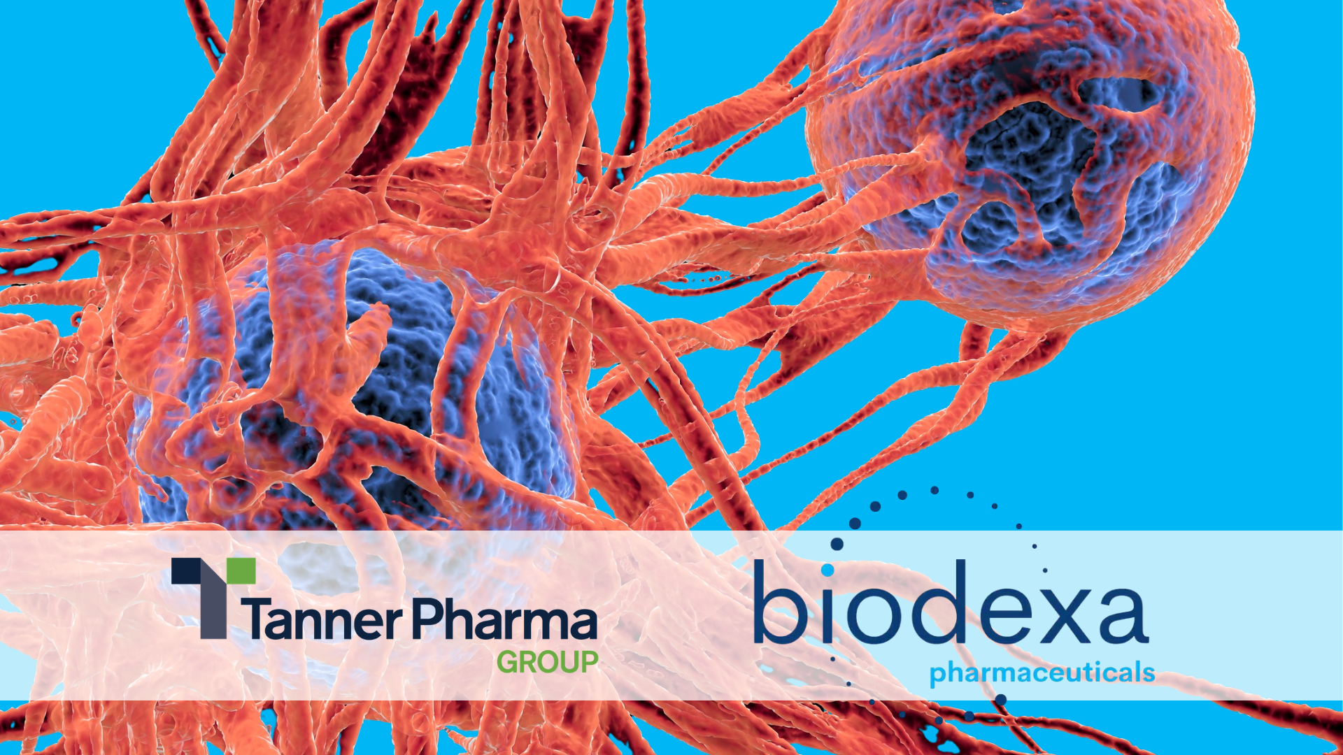 Tanner Pharma Group and Biodexa Launch Global Early Access Program for FAP Patients