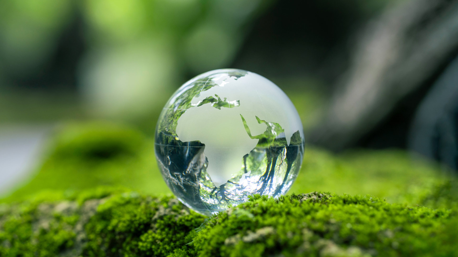 The Pharma Companies Working Towards Supply Chain Sustainability