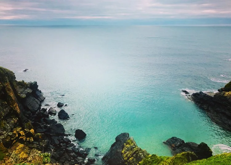 The Lizard 2017.jpeg