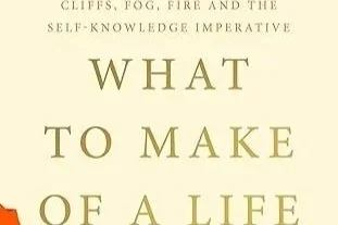 What To Make Of A Life
