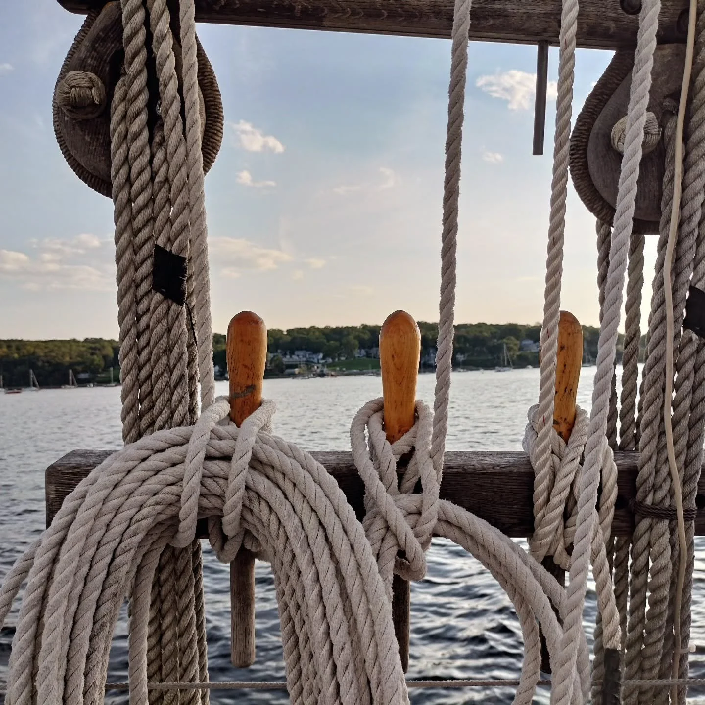 With knowledge earned on the water, we bring the expertise you can hold fast too.