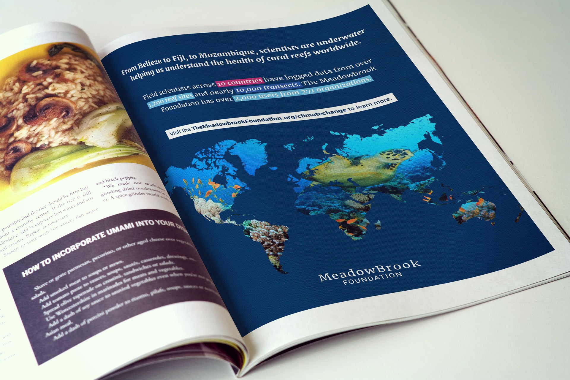 PN_Meadowbrook_FullPageAd-Mockup.jpg