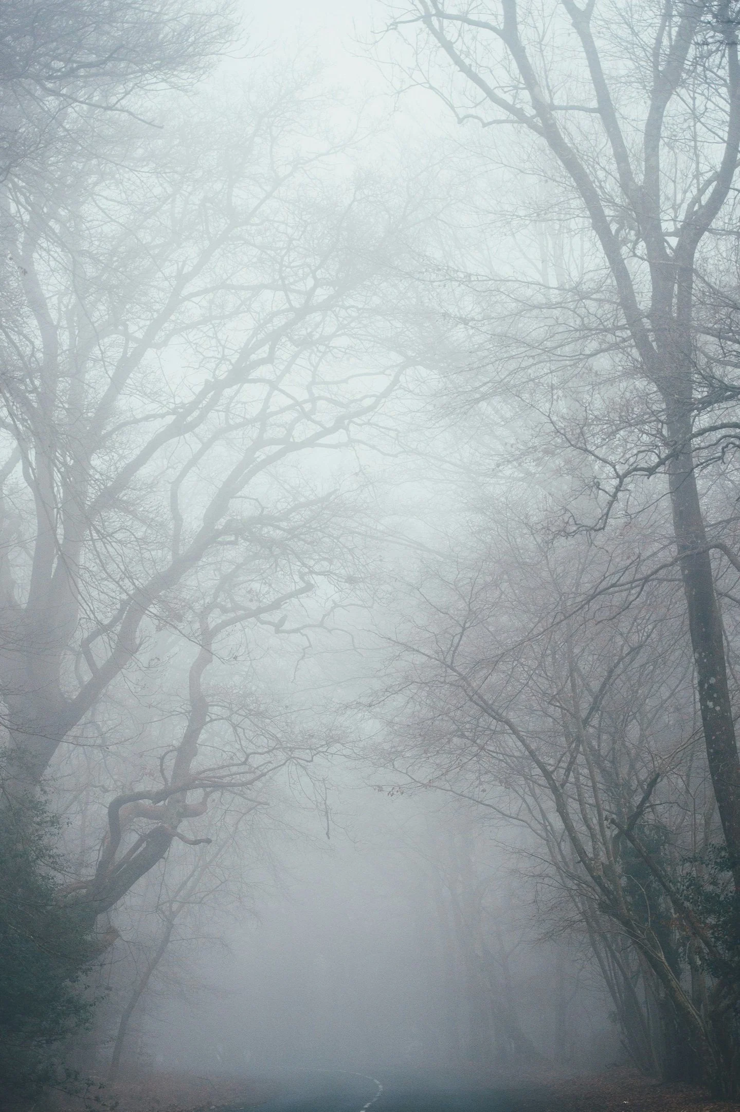 … On Being Met