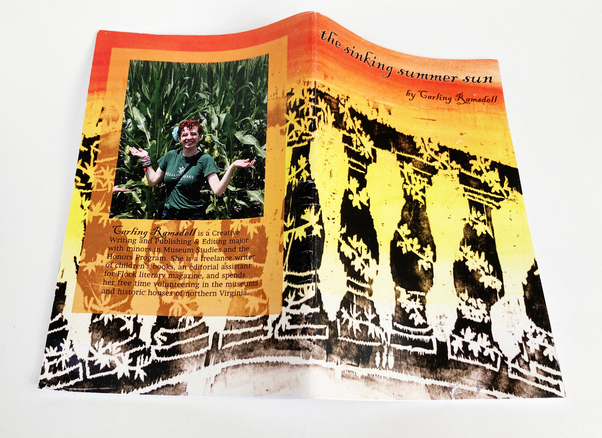 Sinking Summer Sun front and back cover