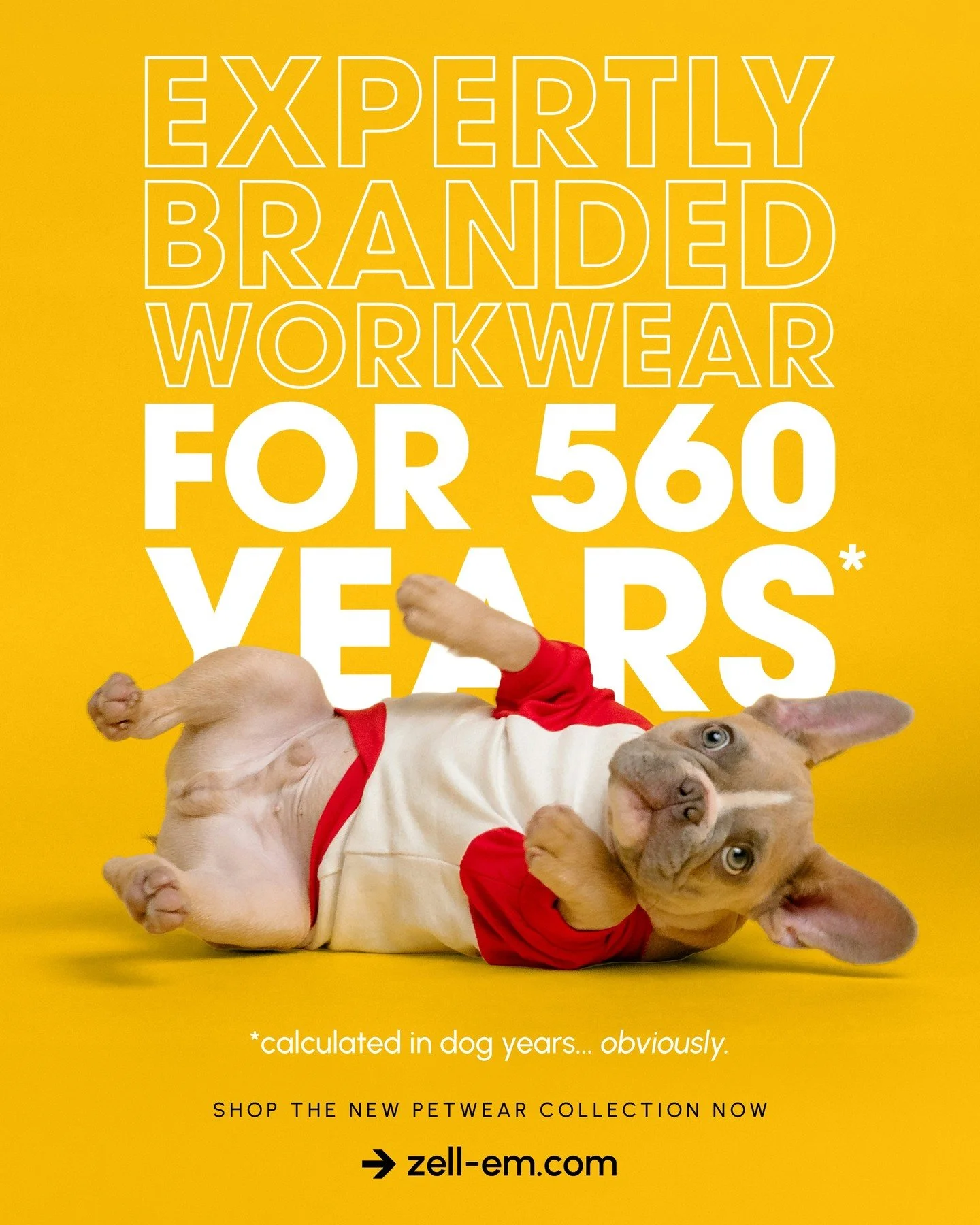 Meet your brand&rsquo;s best friend 🦴

Expertly branded workwear for the whole team (yes, even the ones who sleep on the job).

560 dog years of experience. One iconic look.

Shop the new range: store.zell-em.com/collections/petwear 

All prices inc