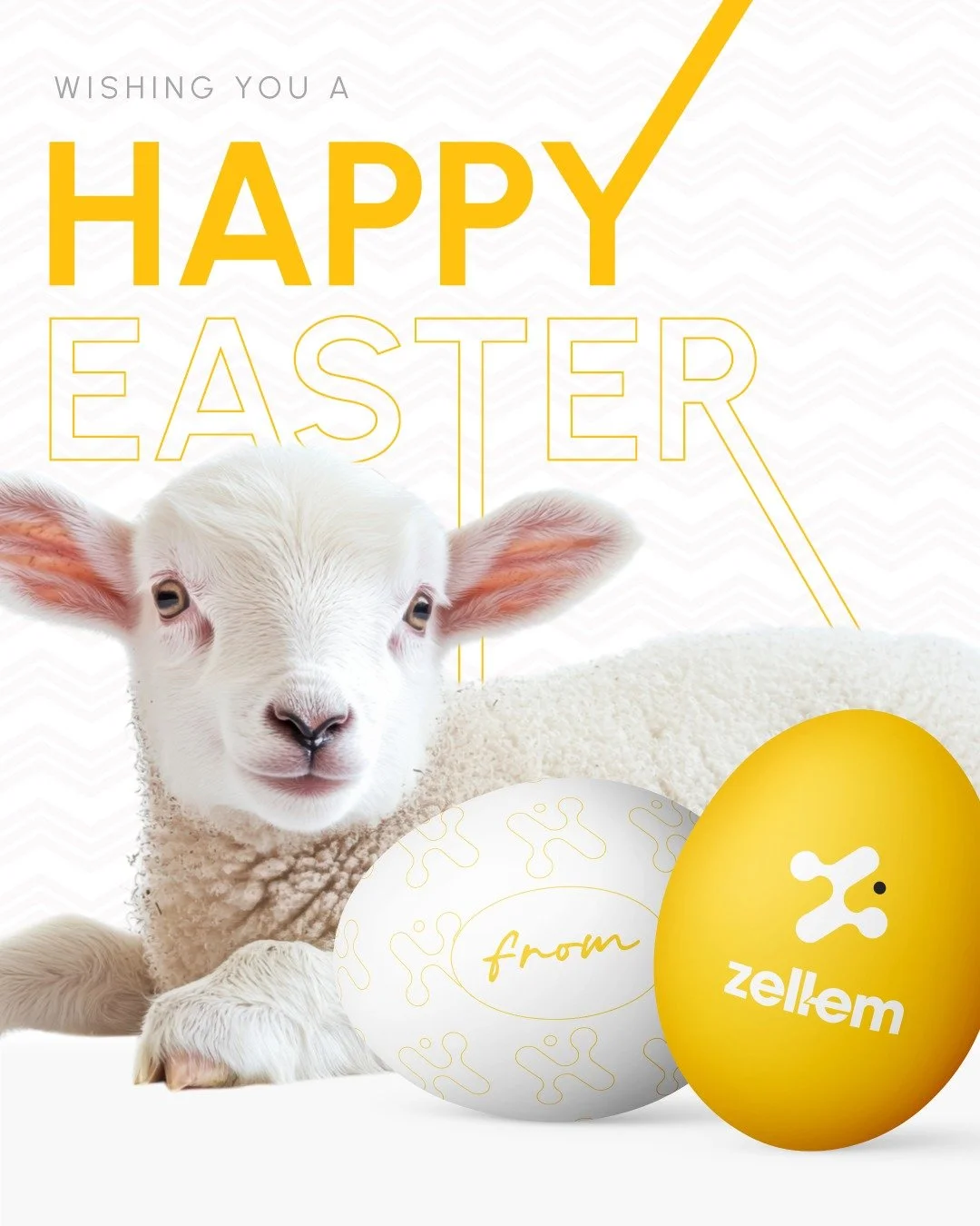 Wishing all our customers, partners, and friends a cracking Easter break! 🐣 

Enjoy the long weekend! ✨

#ZellEm #Granthams #HappyEaster #Easter2026