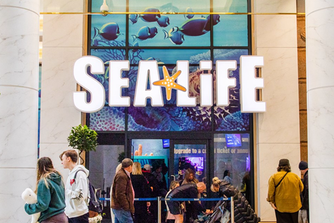 A photograph depicting a large external signage job carried out for Sea Life Centre Manchester.