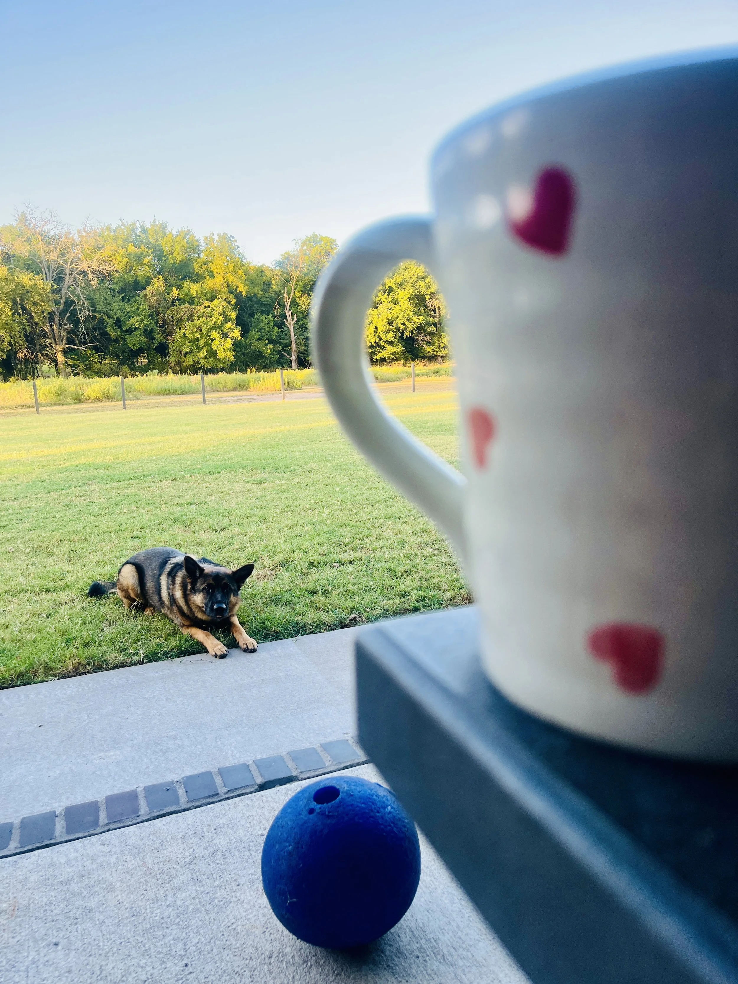 Patio.jpg