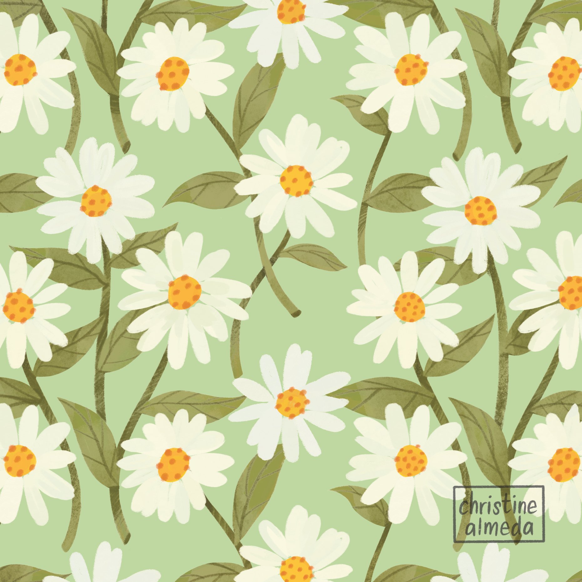 Daisy copy.jpg
