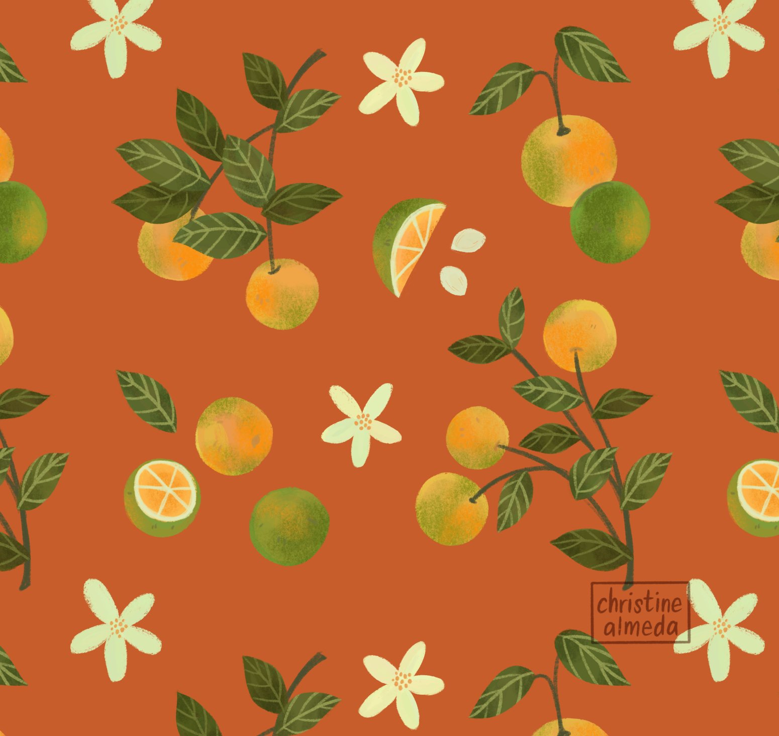 calamansi.jpg