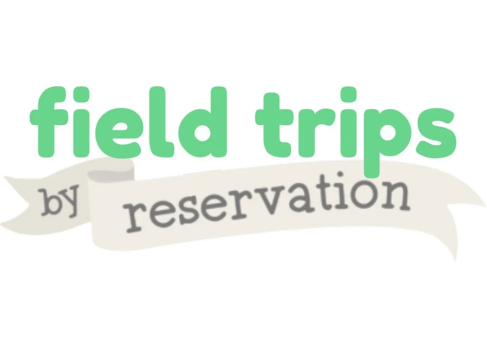 Book Your Field Trip to Play Street Museum Plano!