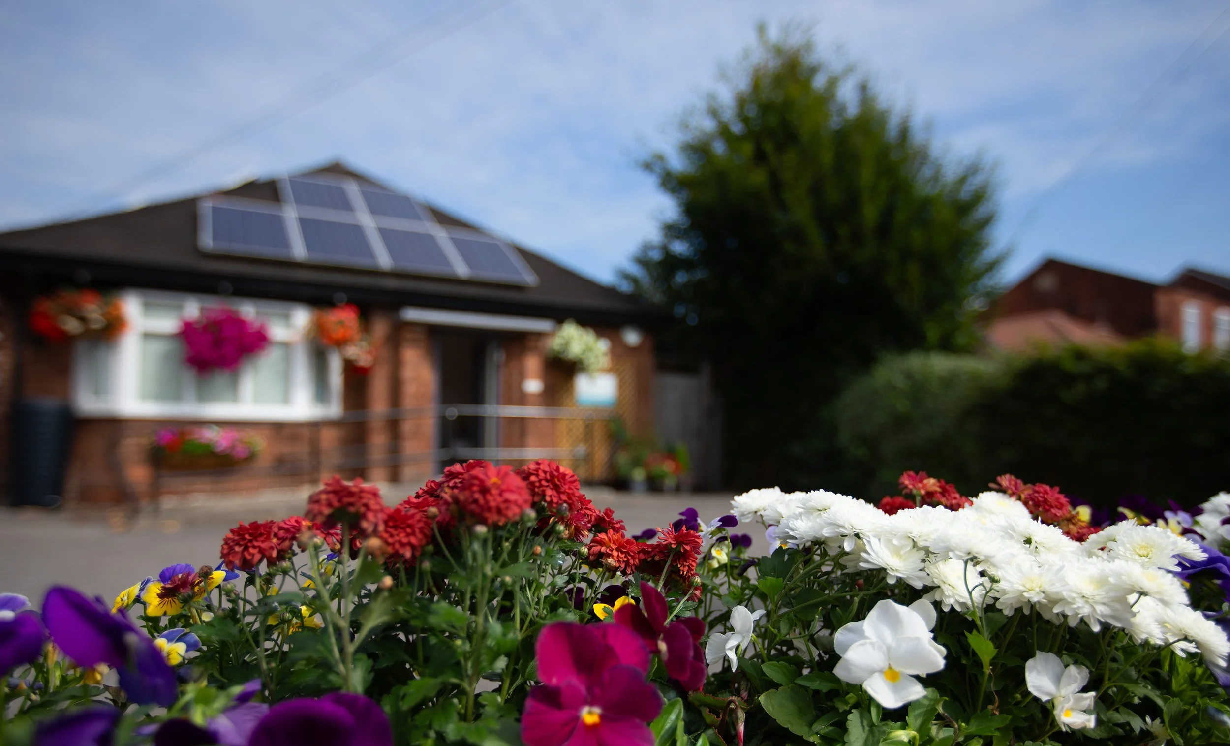 Colorful flowers in front of a house with solar panels on the roof, with a clear sky and greenery in the background.