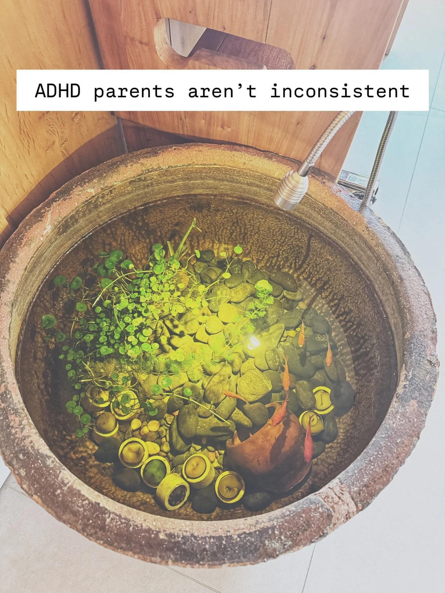 You don&rsquo;t need more discipline.
You need regulation and support.

Save this for when guilt creeps in 💛