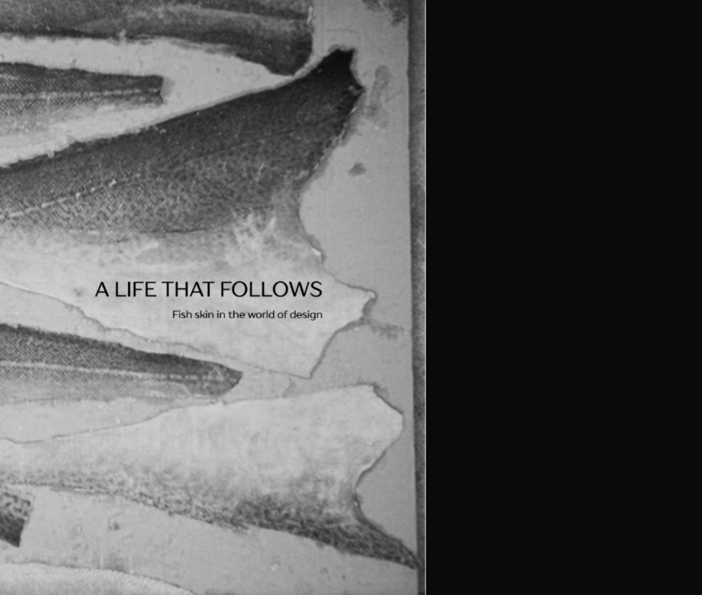 A LIFE THAT FOLLOWS