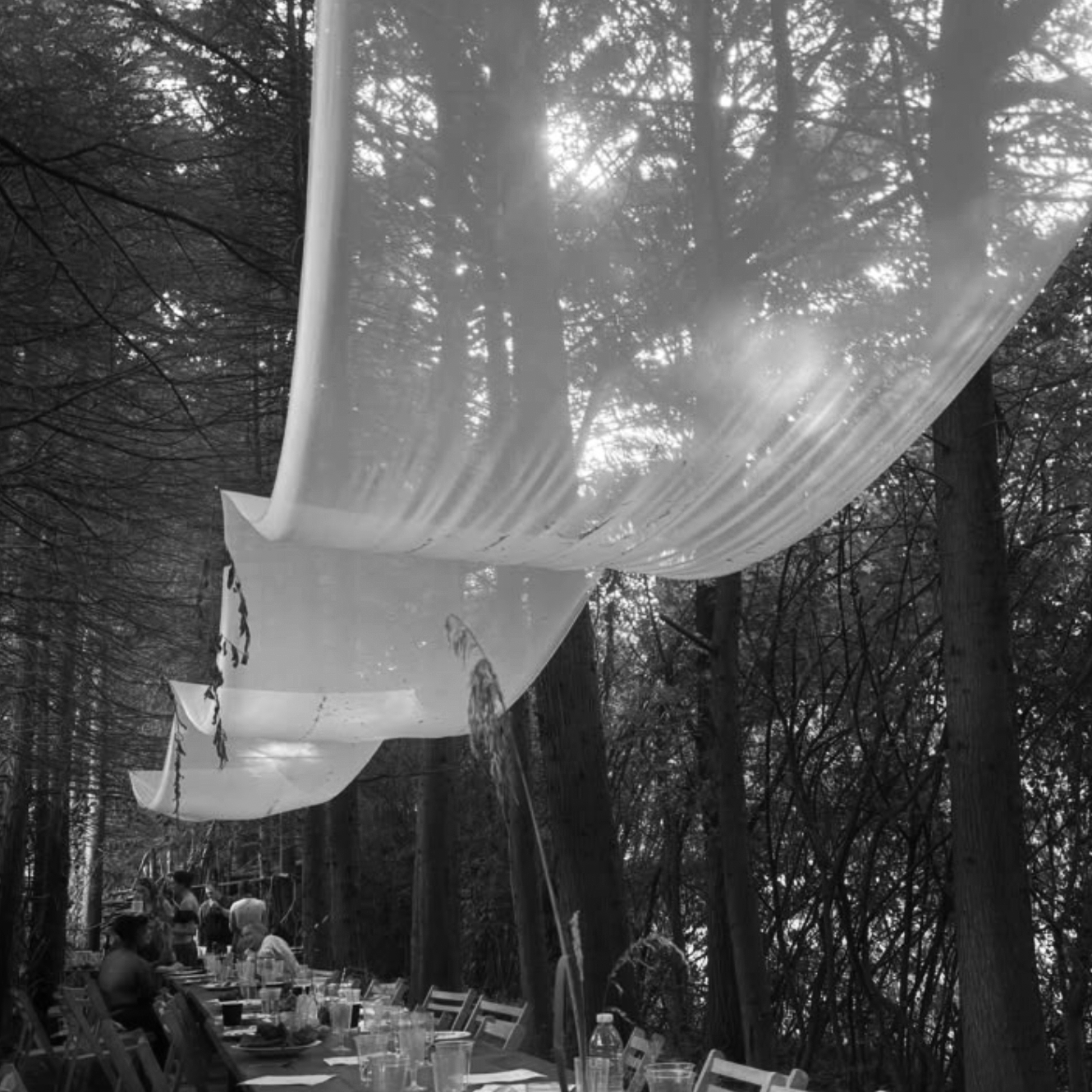 WOODLAND BANQUET