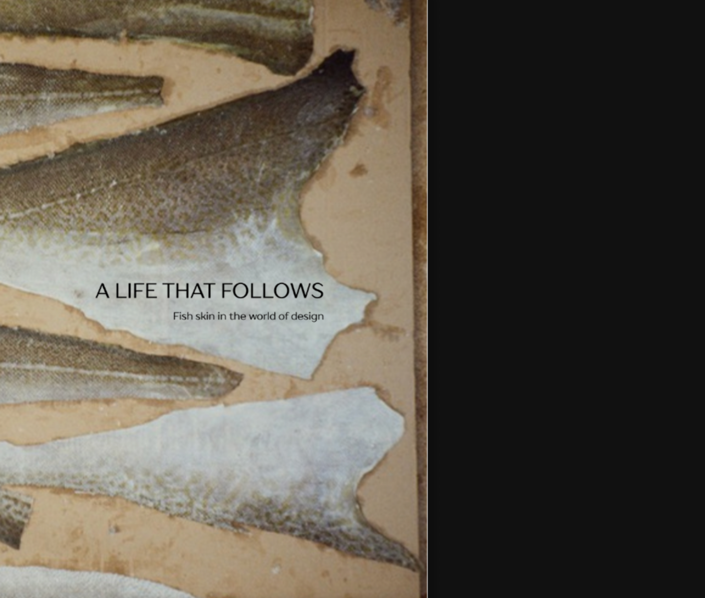 A LIFE THAT FOLLOWS