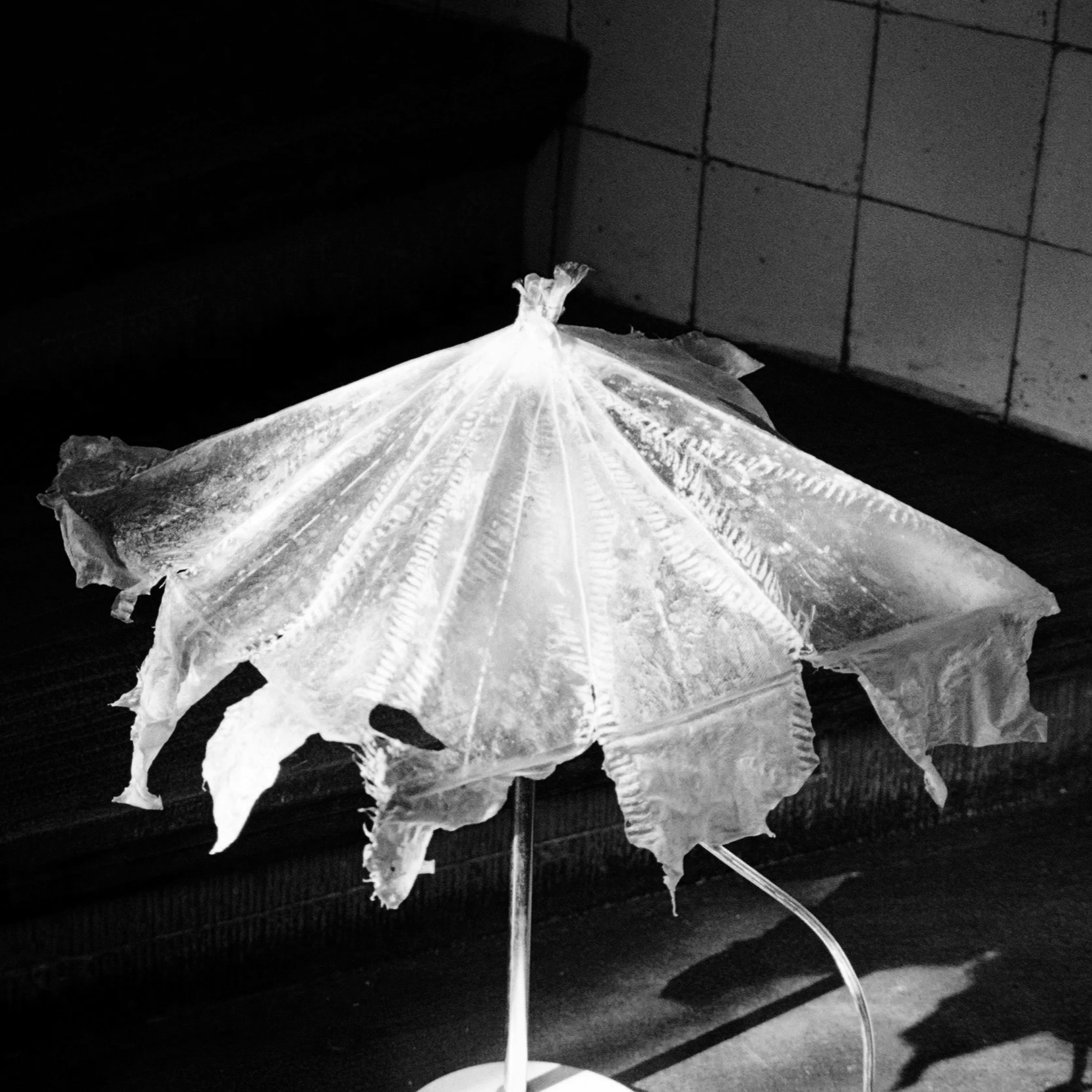 WHITE SOLE LAMPSHADE