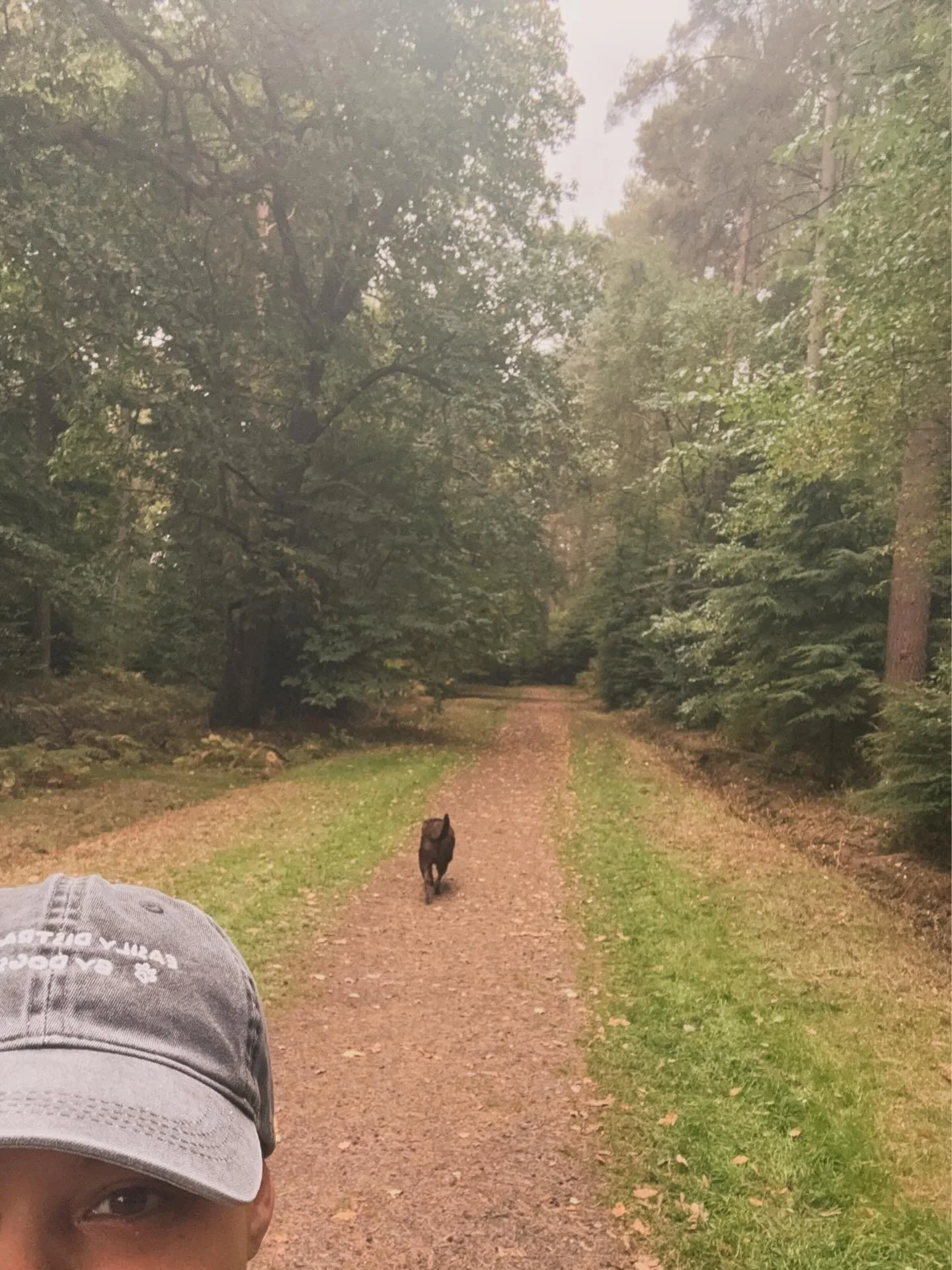 Out-of-office: walking therapy with Max 🐕✨ 

#monicasweb #webdeveloper #balance #pawjectmanager