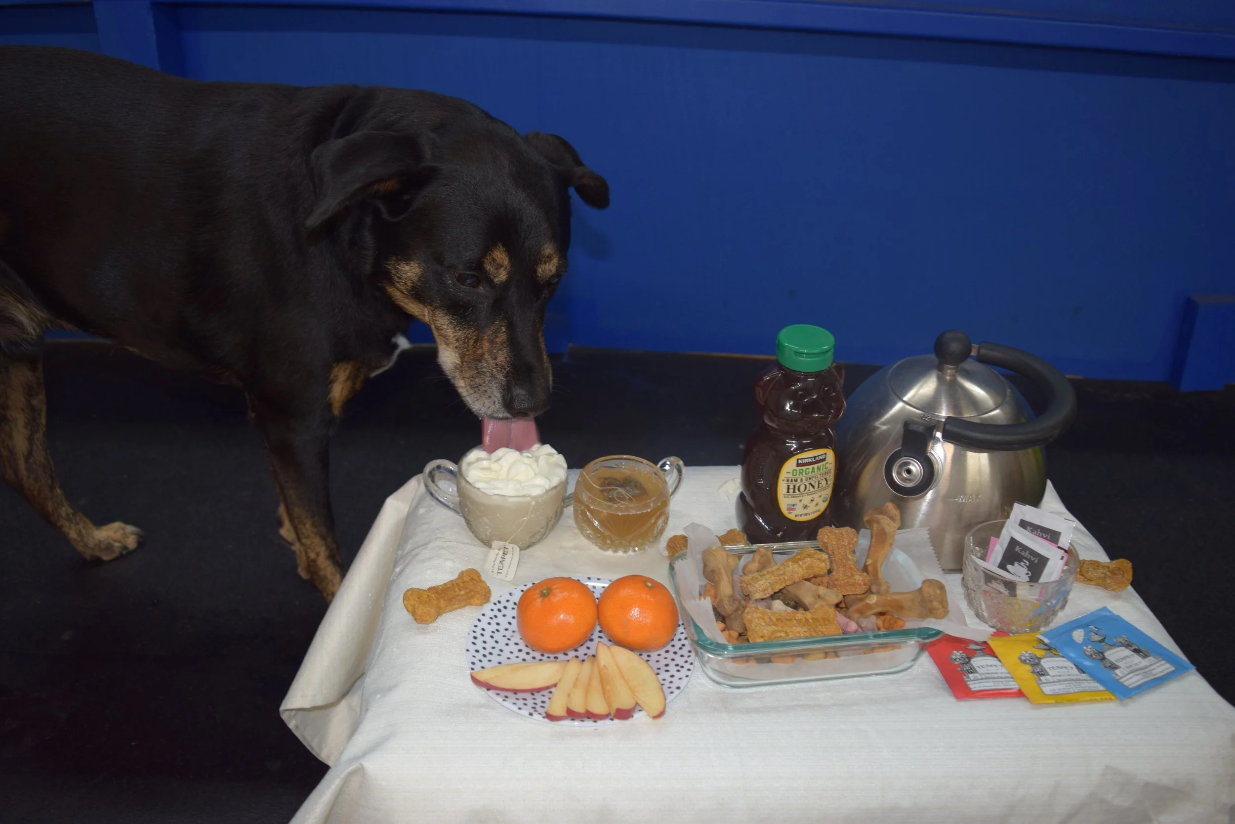 A black and brown dog licking whipped cream from a bowl on a table set with various foods and beverages, including oranges, fries, honey, tea, dog treats, and tea bags.