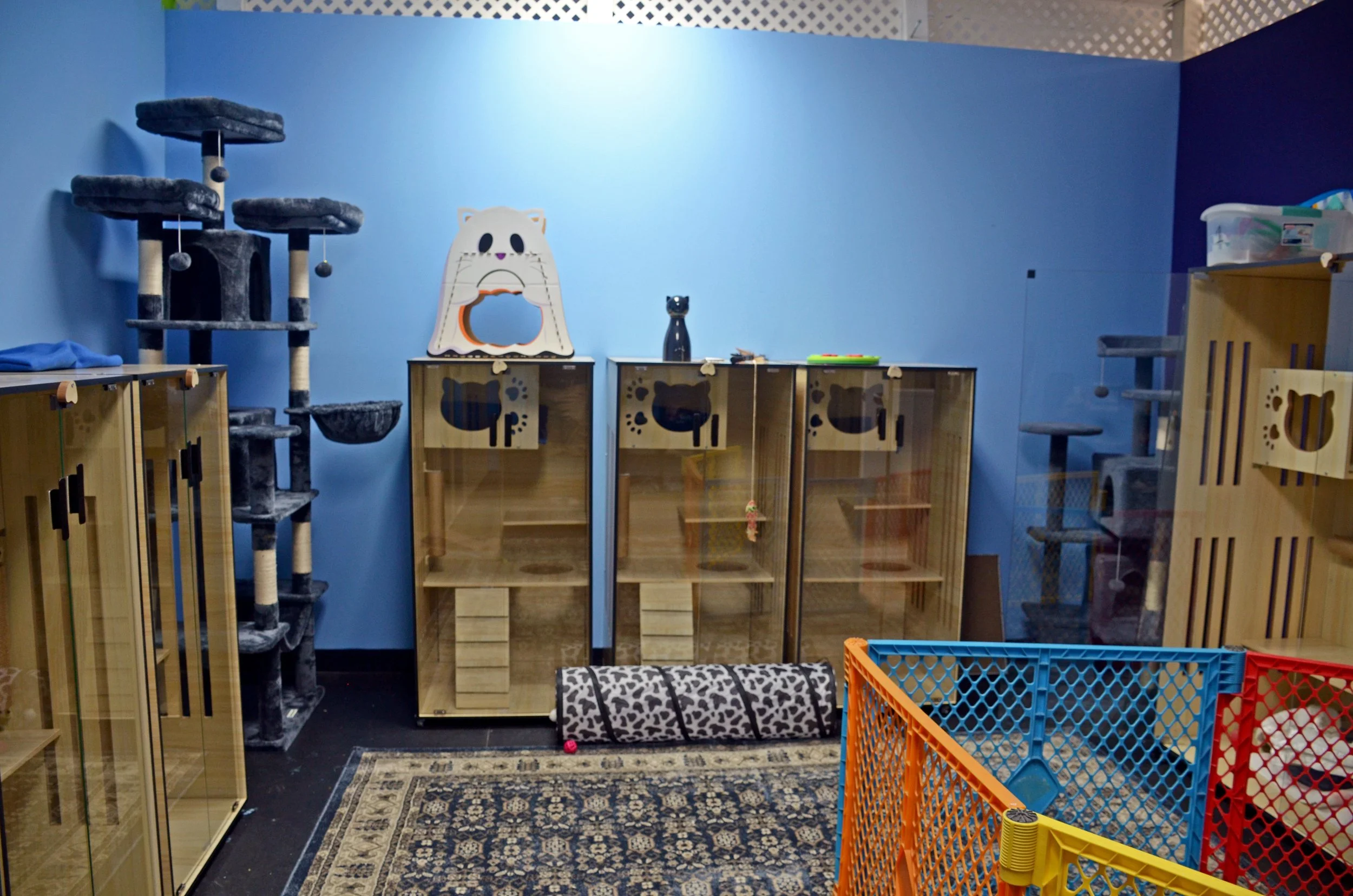 Barkyard_Daycare_&_Pet_Hotel_22.JPG