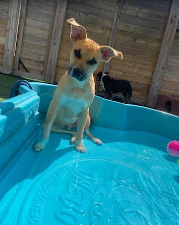 Screenshot 2026-01-14 185255.png