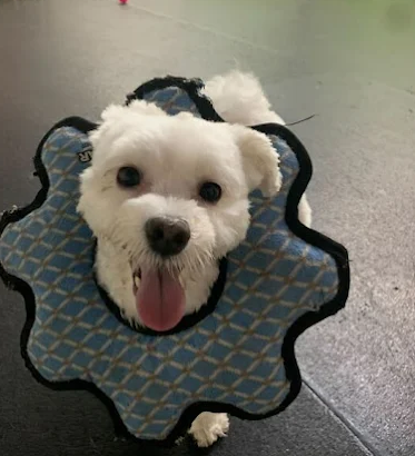 Screenshot 2026-01-14 185512.png