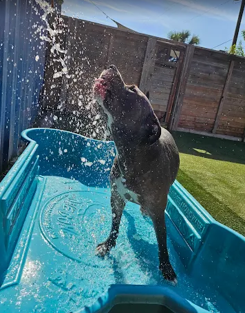 Screenshot 2026-01-14 185457.png