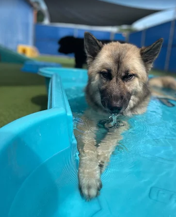 Screenshot 2026-01-14 185534.png