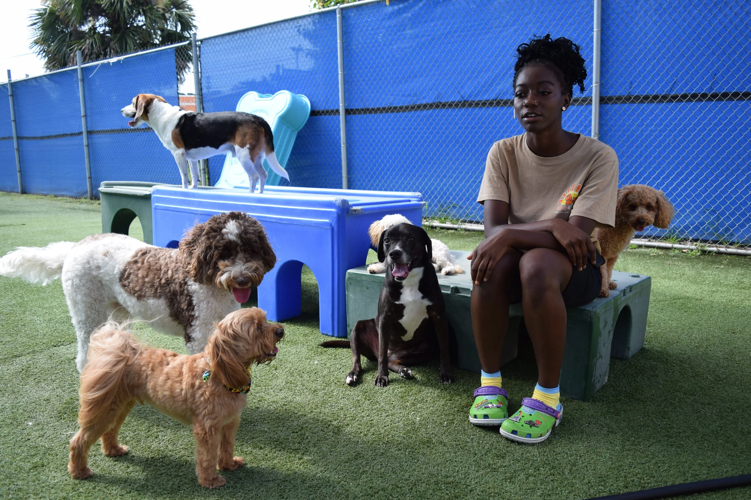A young girl sitting on a green bench with a Bigfoot print design surrounded by multiple dogs in an outdoor play area with artificial grass and a blue fence background.