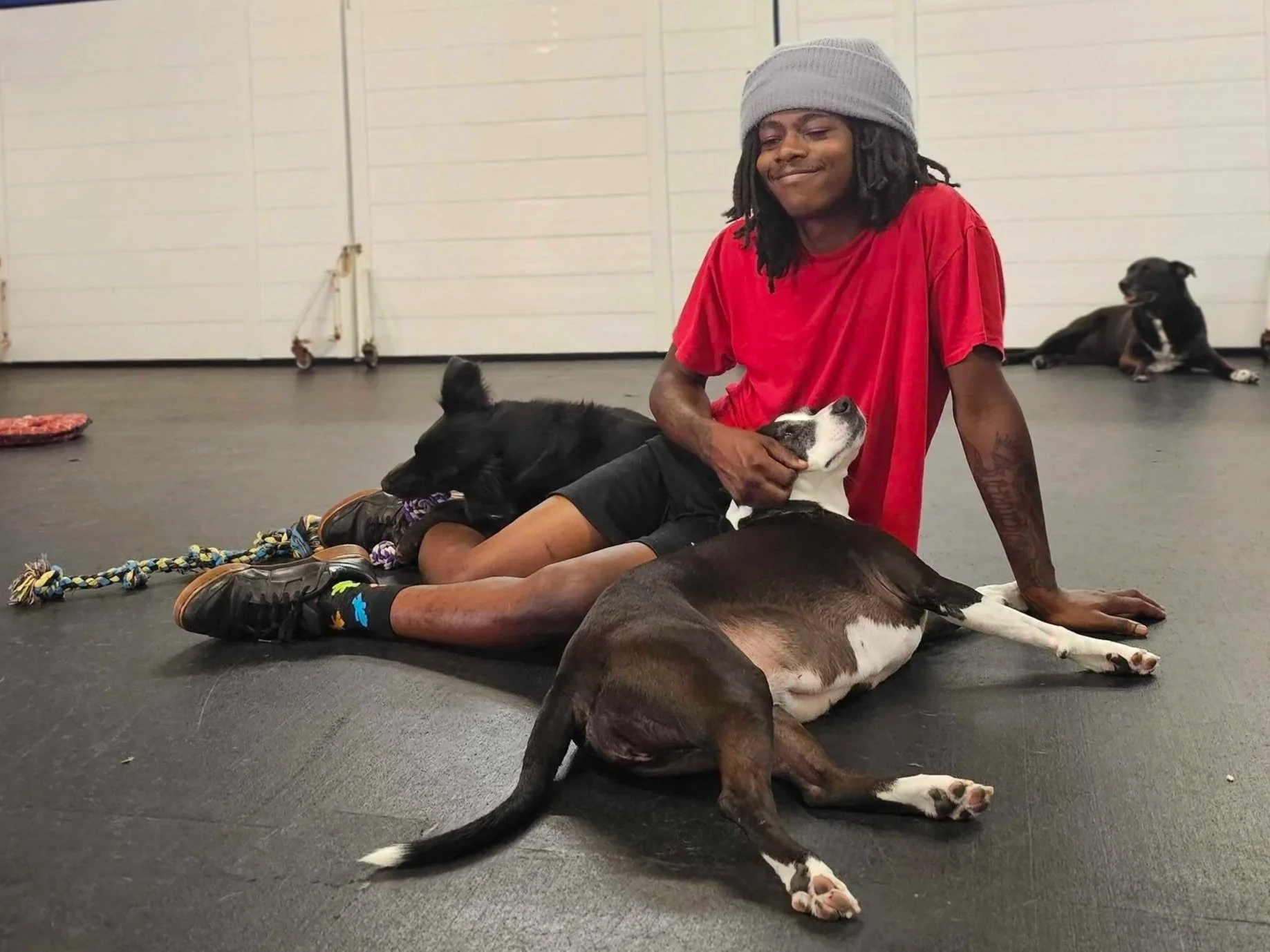 A man with dreadlocks wearing a gray beanie and a red shirt sitting on a black floor, cuddling three dogs. One black dog with a purple collar is lying with its head on his legs, another smaller dog with a black and white coat is resting its head on his chest, and a third dog with a black coat is lying in the background.