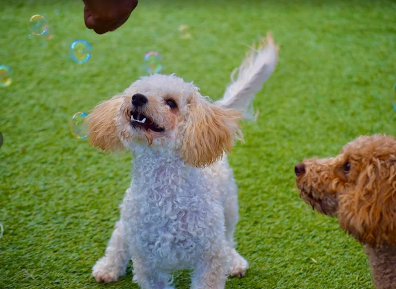 Screenshot 2026-01-14 185100.png