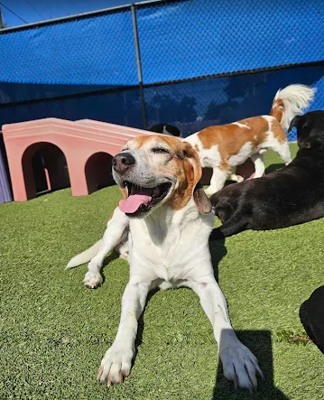 Screenshot 2026-01-14 185338.png