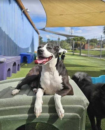 Screenshot 2026-01-14 185316.png