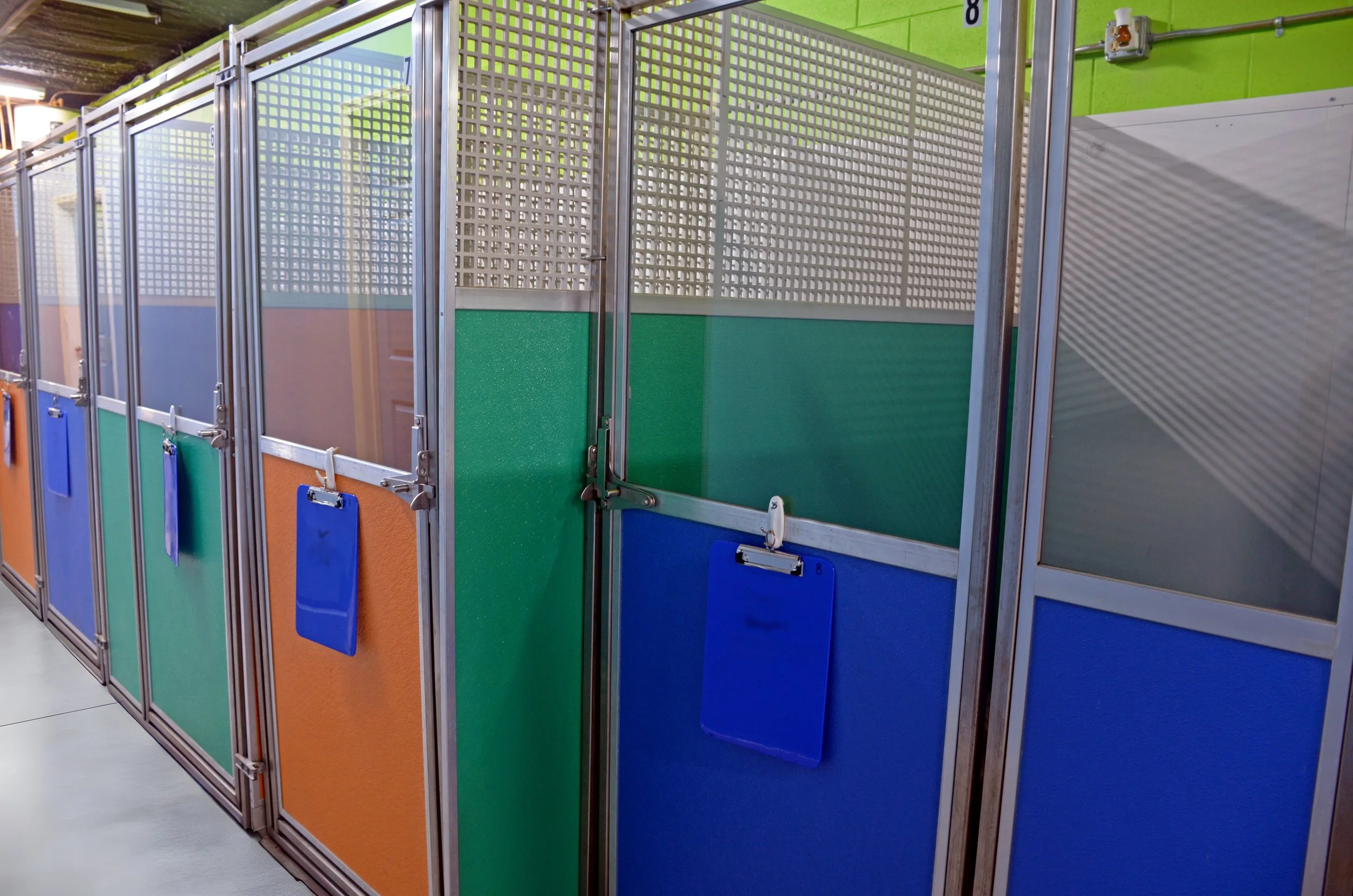 Barkyard_Daycare_&_Pet_Hotel_09 - Edited.jpg