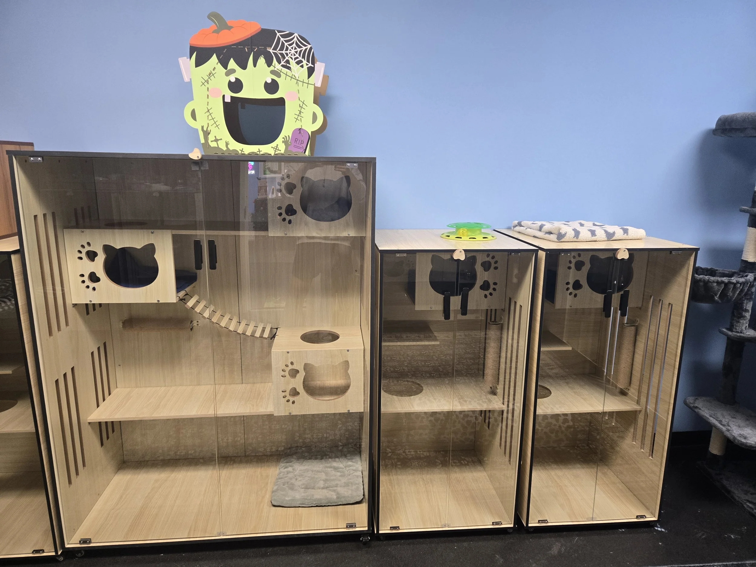 Three wooden cat enclosures with glass doors and cutout cat-shaped entrances, situated against a blue wall. The enclosures are empty, with some items like a grey rug, and a folded towel on top of the rightmost enclosure. A colorful Halloween-themed decoration depicting a cartoonish Frankenstein's monster with a pumpkin hat and spiderwebs is mounted on the wall above the enclosures.