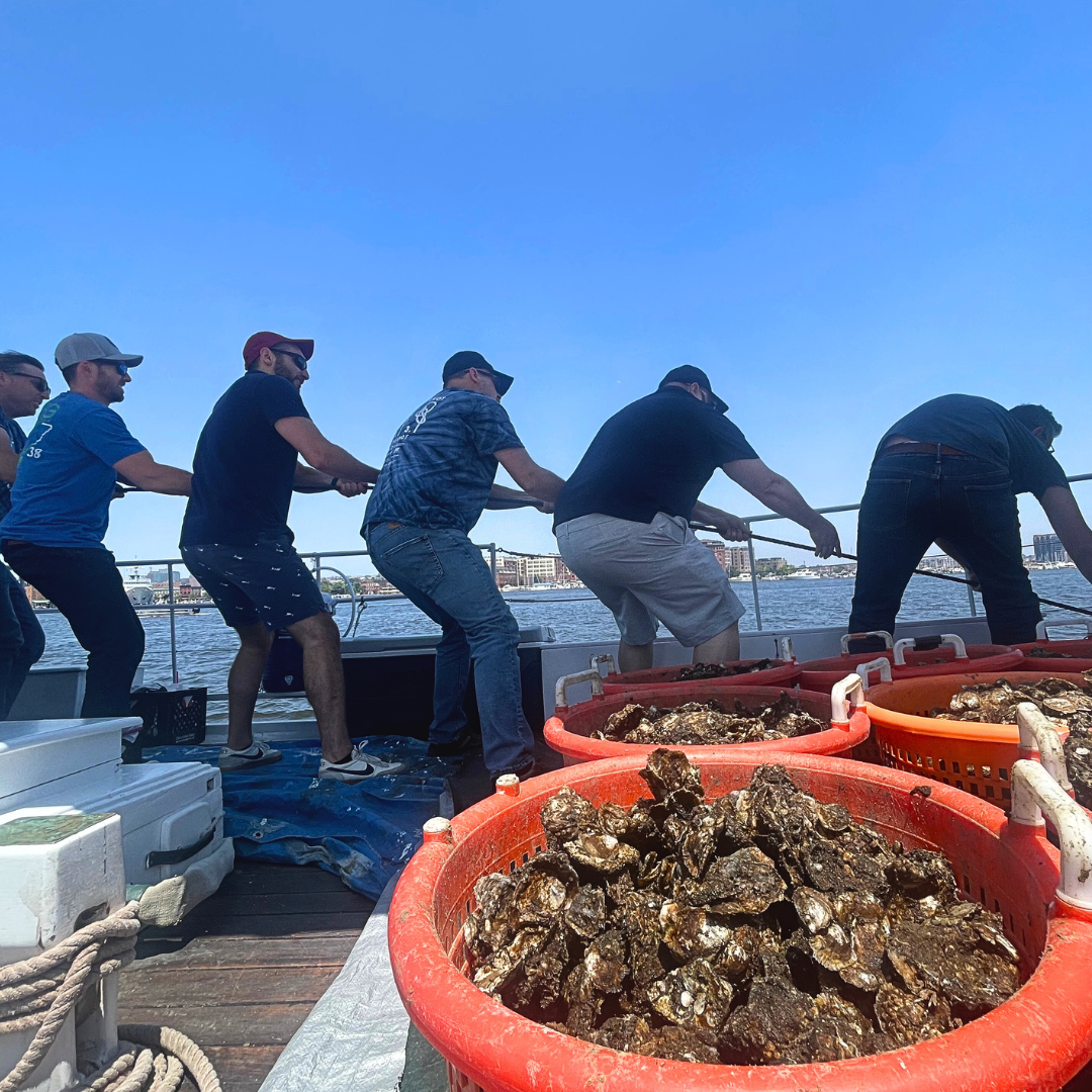 Oyster Planting Boat Ride