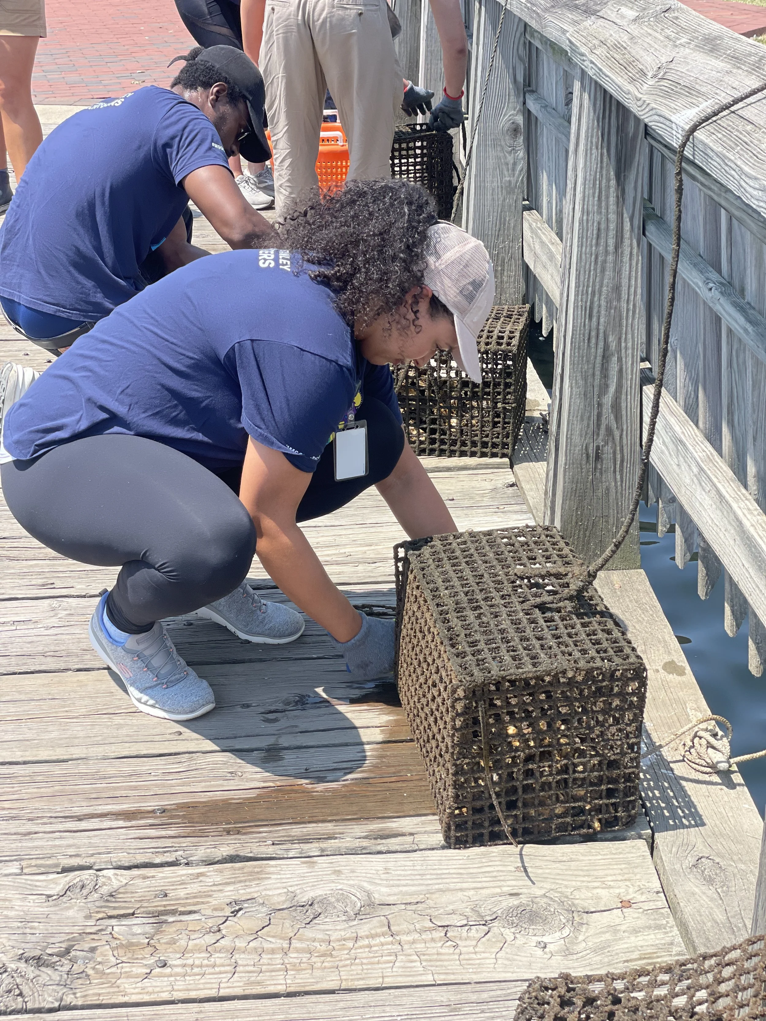 Oyster Garden Installation - Lighthouse Point Marina