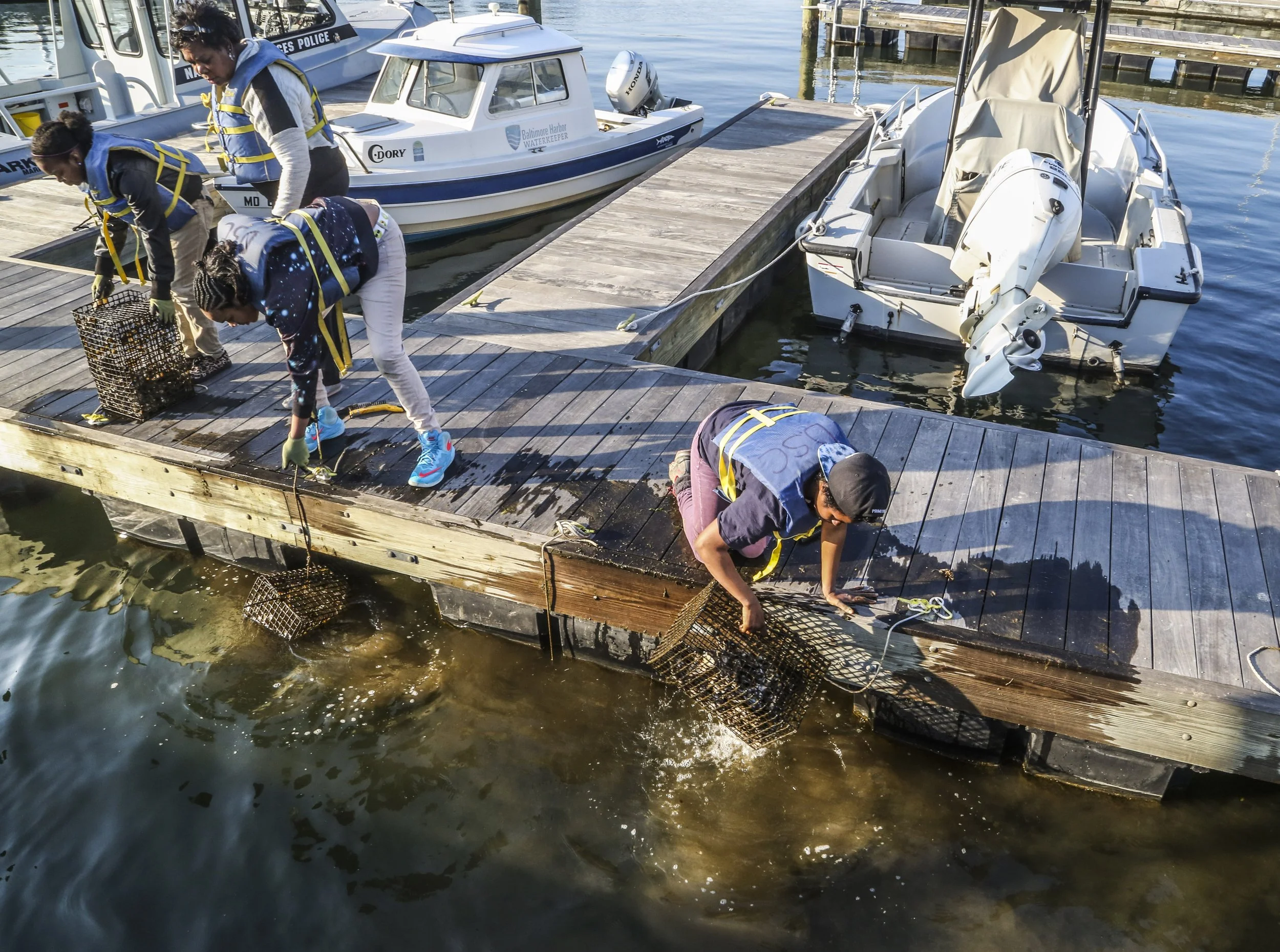 Oyster Gardening - Habitat Installation at Lighthouse Point Marina