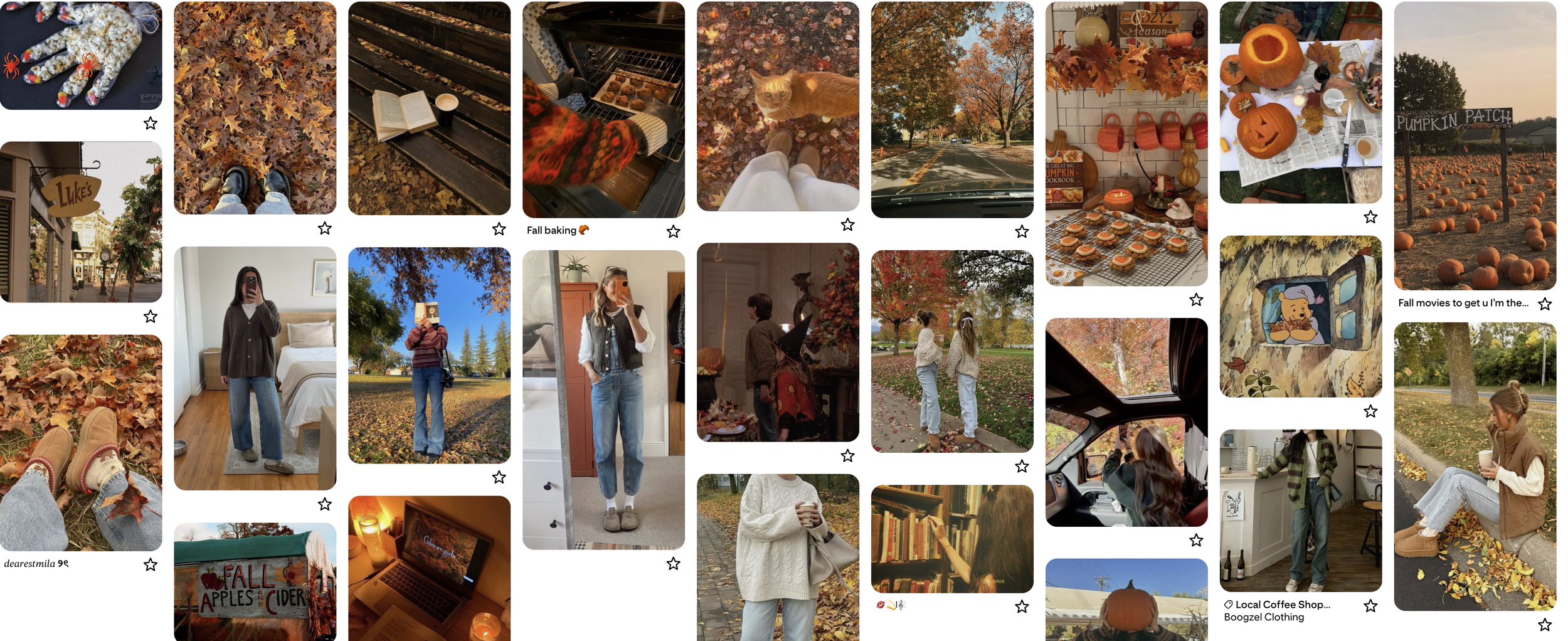 Fall Rebrand
